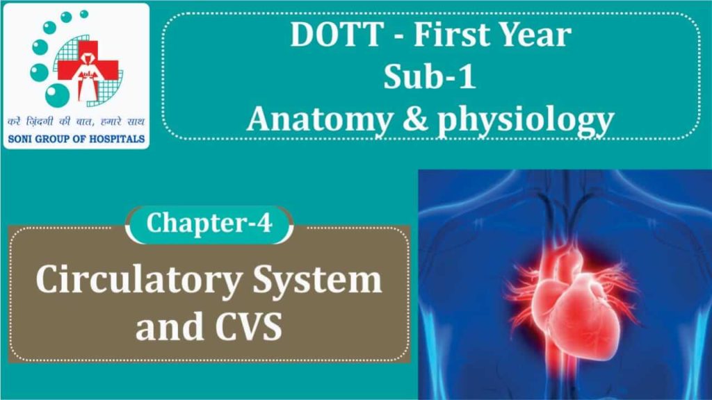 DOTT Circulatory System and CVS
